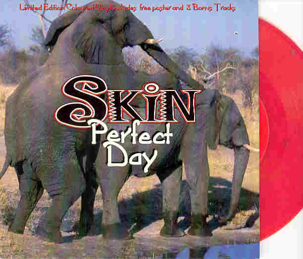 Skin - Perfect Day Album