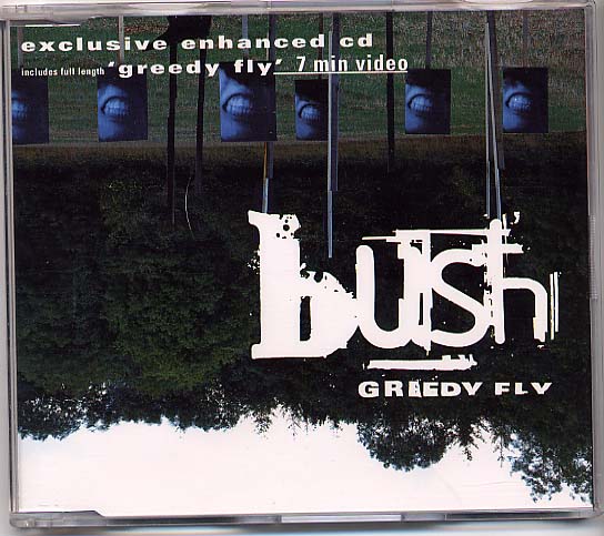Bush - Greedy Fly Record
