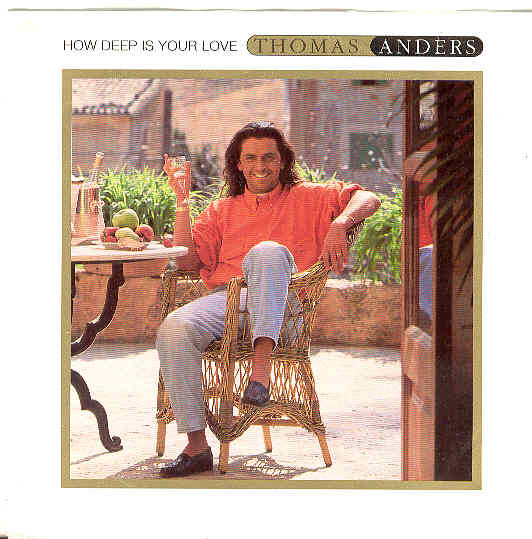 Click for more How Deep Is Your Love 1992 listings