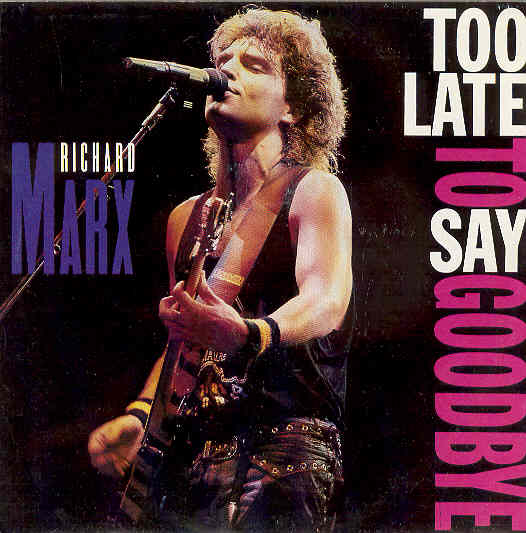 Richard Marx - Too Late To Say Goodbye LP