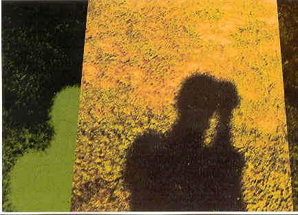 R.e.m. - Reveal EP