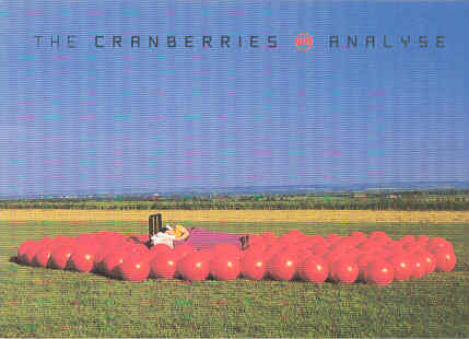 Cranberries - Analyse Record