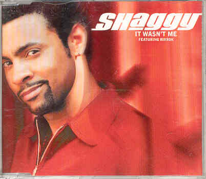 Shaggy - It Wasn't Me Album