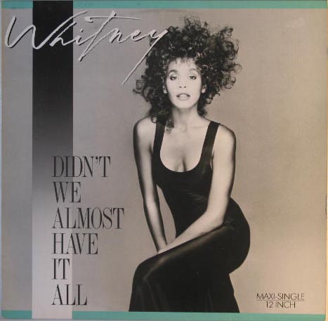 Whitney Houston - Didn't We Almost Have It All Album