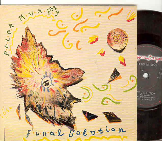 Peter Murphy - Final Solution Record
