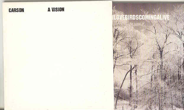 A Vision - Carson