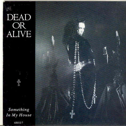 Dead Or Alive - Something In My House