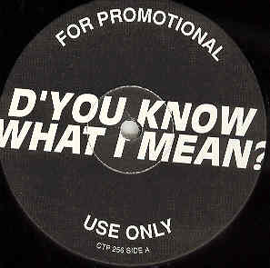 Oasis - D'you Know What I Mean EP
