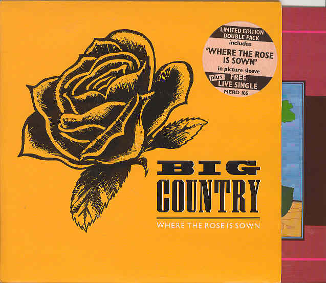 Big Country - Where The Rose Is Sown Record