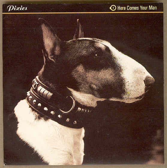 Here Comes Your Man - Pixies