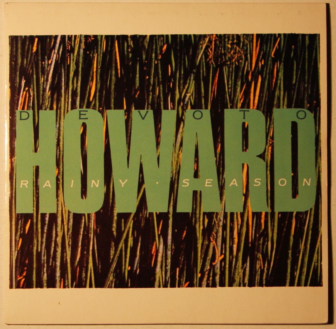 Howard Devoto - Rainy Season