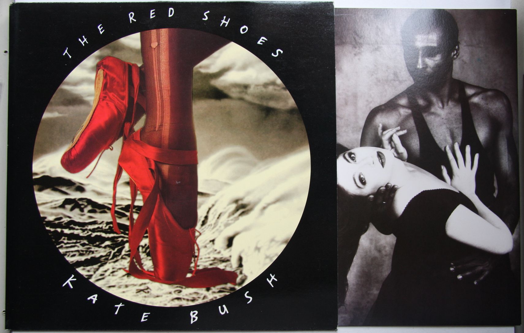 The Red Shoes - Kate Bush