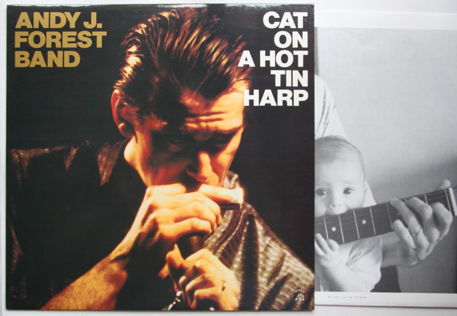 Cat On A Hot Tin Harp