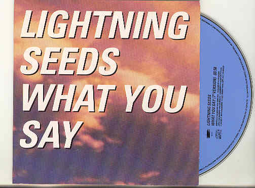 What You Say - Lightning Seeds
