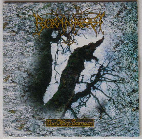 Borknagar - The Olden Domain