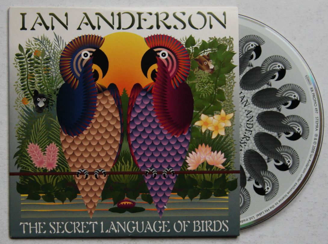 The Secret Language Of Birds