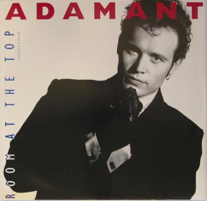 Adam Ant - Room At The Top(house Vocal)