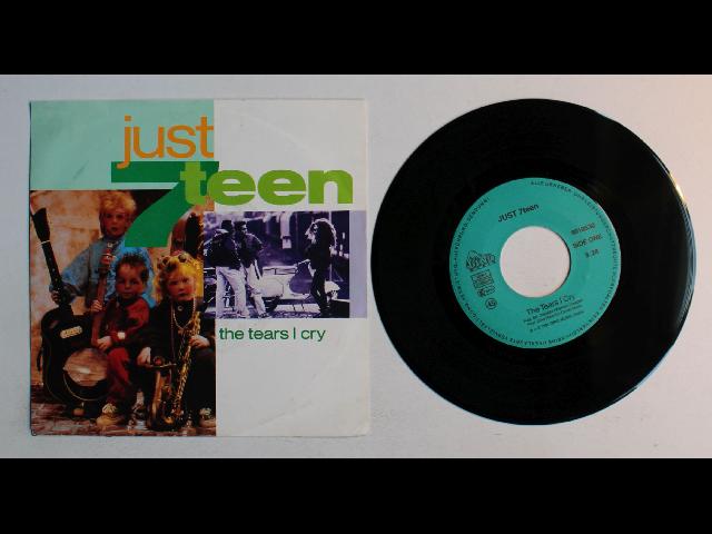 Just Seventeen The Tears I Cry GER 7inch Vinyl Single 1991